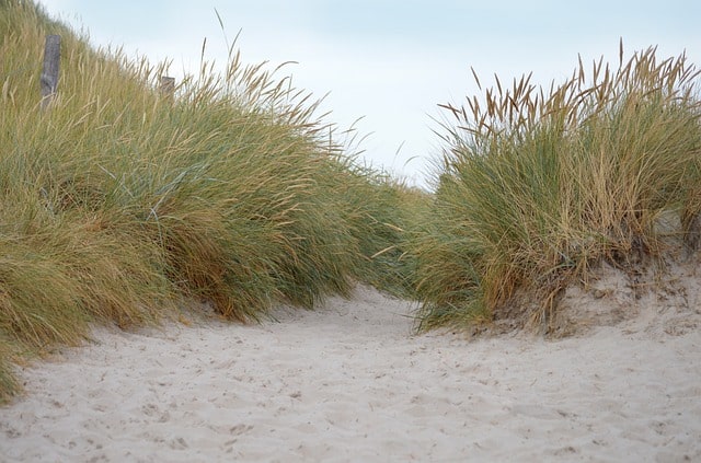 sand-dunes-gaa49ac2de_640