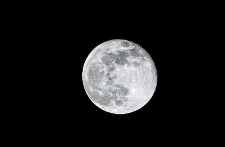 Przyjrzyj się tajemnicy wilczego wyjścia w księżycową noc – odkryj powody i znaczenie tego zjawiska