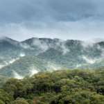 Pogoda w Zakopanem: wyjątkowe krajobrazy górska aura i najświeższe prognozy