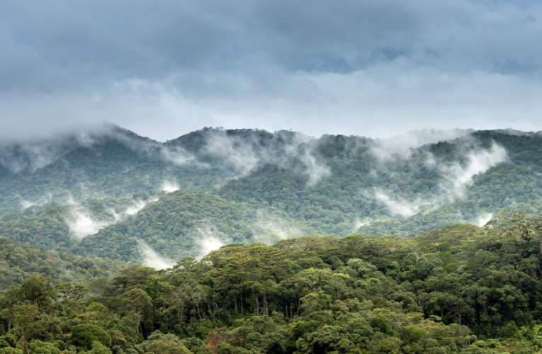Pogoda w Zakopanem: wyjątkowe krajobrazy górska aura i najświeższe prognozy
